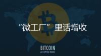 “微工廠”里話增收
