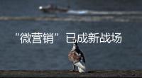 “微營銷”已成新戰場 櫥柜企業要順勢而行