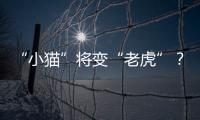 “小貓”將變“老虎”？海信電視欲爭西班牙市場前三