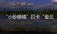 “小砂糖橘”打卡“最北郵局”