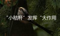 “小秸稈”發(fā)揮“大作用”