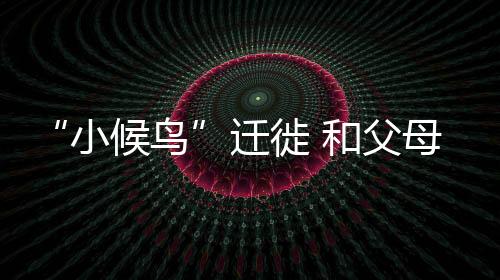 “小候鳥”遷徙 和父母團聚過暑假