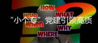 “小個專”黨建引領(lǐng)高質(zhì)量發(fā)展