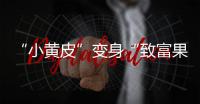 “小黃皮”變身“致富果”