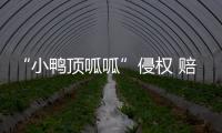 “小鴨頂呱呱”侵權 賠了“小鴨”20萬元