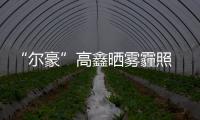 “爾豪”高鑫曬霧霾照 調侃羋月江山不見【娛樂新聞】風尚中國網