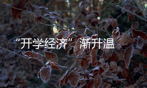 “開學經濟”漸升溫  學生添置“裝備”忙