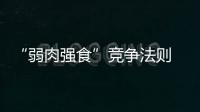 “弱肉強(qiáng)食”競(jìng)爭(zhēng)法則 地板業(yè)如何逆境突圍?