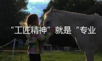 “工匠精神”就是“專業(yè)、敬業(yè)”