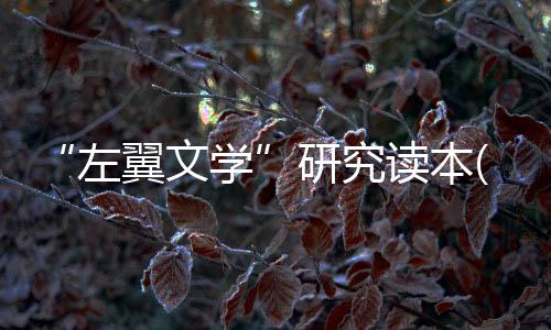 “左翼文學(xué)”研究讀本(關(guān)于“左翼文學(xué)”研究讀本簡(jiǎn)述)