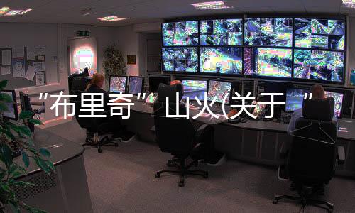 “布里奇”山火(關于“布里奇”山火簡述)