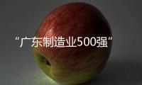 “廣東制造業(yè)500強”通達電氣，選擇藍凌知識管理