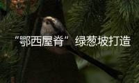“鄂西屋脊”綠蔥坡打造高山運動休閑小鎮