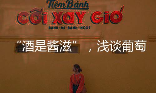 “酒是醬滋”，淺談葡萄酒調(diào)配醬料