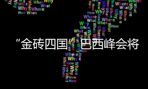 “金磚四國(guó)”巴西峰會(huì)將著重探討金融及經(jīng)貿(mào)合作
