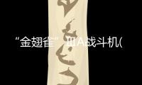 “金翅雀”ⅢA戰(zhàn)斗機(關于“金翅雀”ⅢA戰(zhàn)斗機簡述)