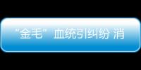 “金毛”血統(tǒng)引糾紛 消保委助力促和解