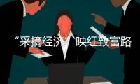 “采摘經(jīng)濟”映紅致富路