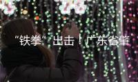 “鐵拳”出擊！廣東省肇慶市上半年扎實有力推進打擊侵權(quán)假冒工作
