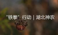 “鐵拳”行動｜湖北神農架曝光10起典型案例