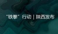 “鐵拳”行動｜陜西發(fā)布第二批典型案例