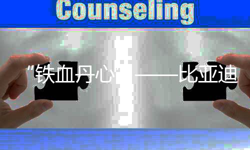 “鐵血丹心”——比亞迪叉車為石油行業(yè)注入澎湃動(dòng)力!