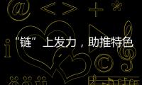 “鏈”上發力，助推特色產業集群蓬勃發展