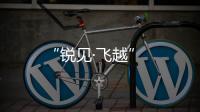 “銳見·飛越”