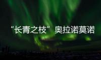 “長青之枝”奧拉諾莫諾斯(關于“長青之枝”奧拉諾莫諾斯簡述)