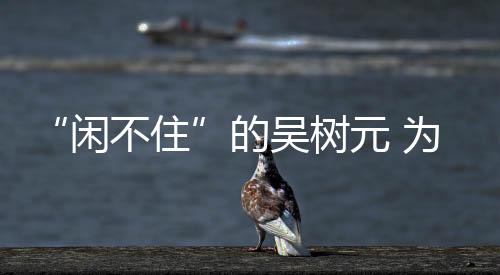 “閑不住”的吳樹元 為村民保豐收