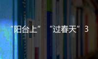 “陽臺上”“過春天”3月文藝片能否“地久天長”