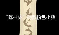 “陳桂林”同款粉色小豬手表意外走紅，商家：已經賣斷貨了