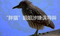 “胖貓”姐姐涉嫌誤導輿論被多平臺封禁，警方公布調(diào)查細節(jié)