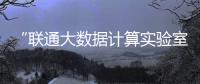 “聯通大數據計算實驗室”在數博會正式揭牌成立