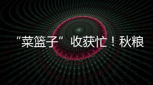 “菜籃子”收獲忙！秋糧收購有序展開 為農(nóng)服務(wù)持續(xù)優(yōu)化