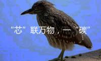 “芯”聯萬物，一“碳”究竟，IOTE第十六屆國際物聯網展盛大開幕