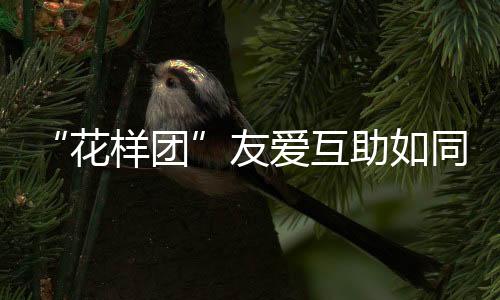 “花樣團”友愛互助如同一家 馬麗戰勝幽閉恐懼挑戰自我