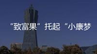 “致富果”托起“小康夢”