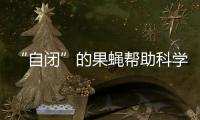 “自閉”的果蠅幫助科學家認識孤獨癥病理機制