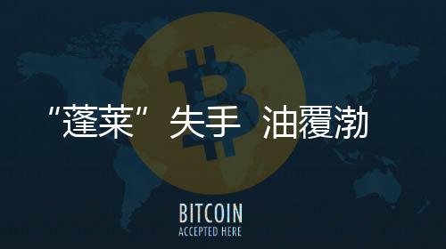 “蓬萊”失手  油覆渤海