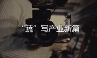 “蔬”寫產業新篇
