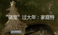 “萌寵”過大年：家庭特殊成員的年貨清單