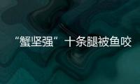 “蟹堅強”十條腿被魚咬斷后完成蛻殼順利“重生”