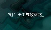 “蚓”出生態致富路_