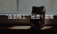 “蟲蟲特工”出擊！湖南桂陽放出41億只蟲子滅害蟲