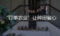 “訂單農業”讓種田省心又放心_
