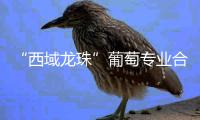 “西域龍珠”葡萄專業(yè)合作社(關(guān)于“西域龍珠”葡萄專業(yè)合作社簡(jiǎn)述)