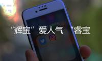“輝寶”愛人氣 “睿寶”要健康 旅韓大熊貓雙胞胎一歲啦！
