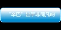 “辛巴”出手非同凡響