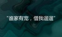 “誰家有寵，借我遛遛”：中國大學生“共享式”遛寵悄然興起